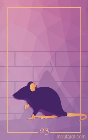 23 - Ratto
