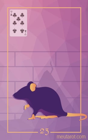 23 - Ratto