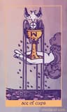 Asso di Coppe